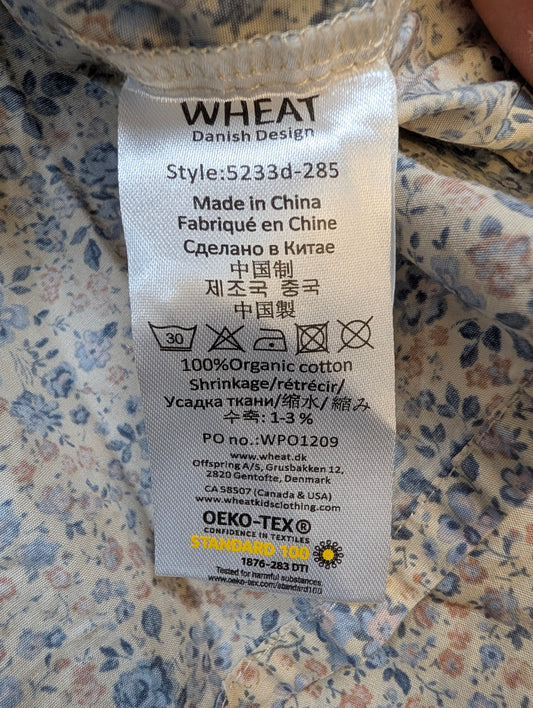 Kleid