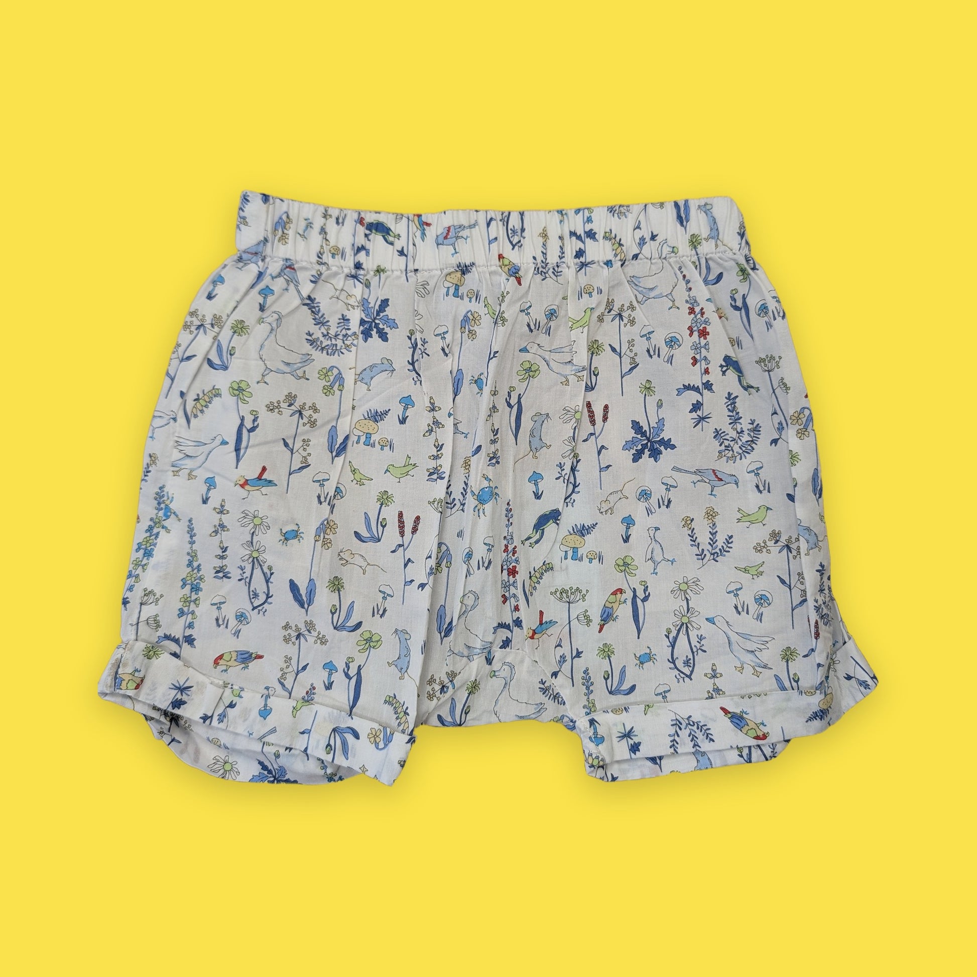 Shorts