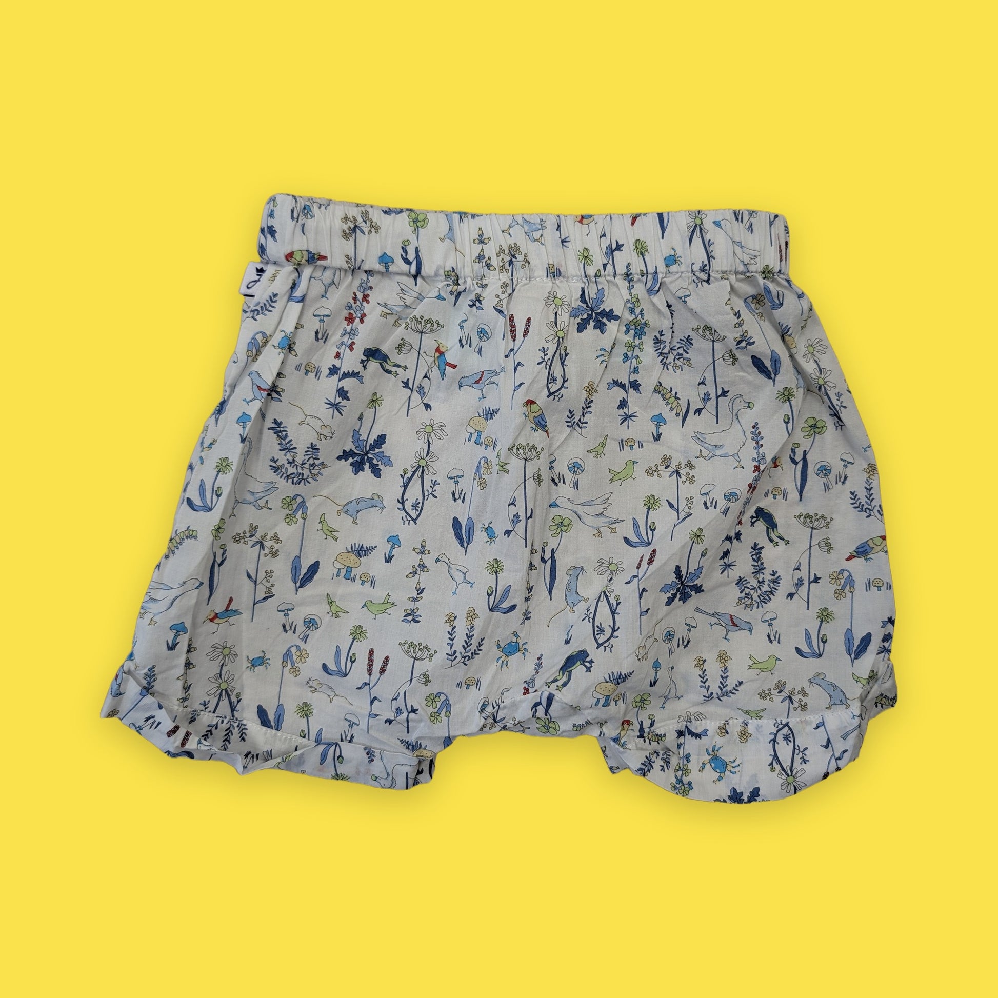Shorts